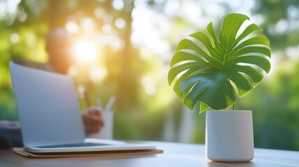 A vibrant office space featuring plants and professionals discussing strategies