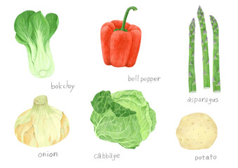 アスパラ、パプリカ、チンゲンサイ、ジャガイモ、キャベツ、玉ねぎの色鉛筆タッチイラスト