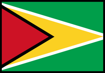 Guyana Flag rectangle Icon