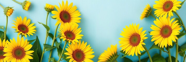 Fototapeta premium Bright yellow sunflower blooms on a light blue canvas with green leaves and stems, outdoor, sunny day