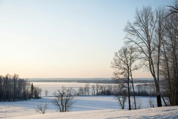 Serene winter landscape with a vast expanse of white sky and bare trees stretching towards the horizon, snow, winter silence