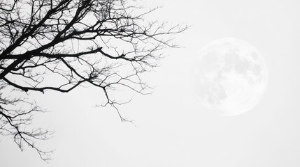 Full Moon and Bare Tree Branches