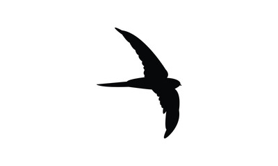 Swift Bird Silhouette Design  And Vector Illustration. 