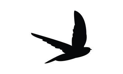 Swift Bird Silhouette Design  And Vector Illustration. 