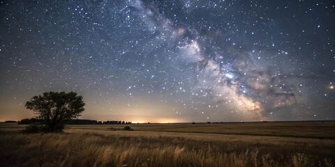 Delicate stars twinkling in the dark sky above a vast open field with soft focus and subtle texture, celestial, open field, dark sky