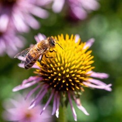 extreme macro shot capturing a bee proboscis as it sips nectar, the proboscis and the flower's stamen in sharp focus, with the surrounding floral elements softly blurred in the background. Extreme clo
