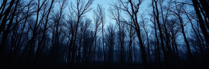 Fototapeta premium In the depths of a forest, bare trees loom large as twilight brings an otherworldly quality to the surroundings, bare trees, natural wonder, forest