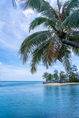 Fototapeta premium Summer sea with Palm trees,Blue sky white clouds background