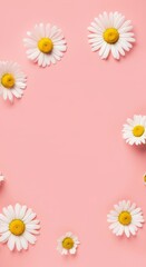 Obraz premium White daisies on pink background arranged in frame composition. Spring, Mother`s Day, Easter banner with copy space for design