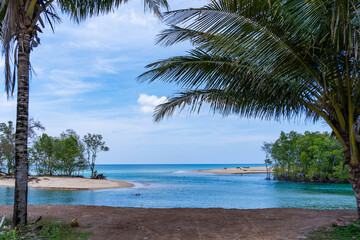 Obraz premium Summer sea with Palm trees,Blue sky white clouds background