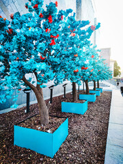 Blue trees with flowers in the city center. Trees made of polymer.