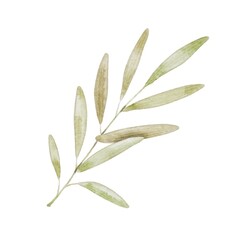 Obraz premium Cute green branch with leaves on white. Watercolor illustration in kids style for textile, decoration children parties, birthday, Easter.
