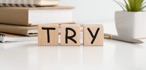 TRY word on wooden cubes. The background is a business graphs.