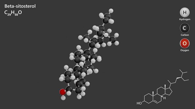 Beta-Sitosterol. Animated 3D model of a molecule. Molecular formula: C29H50O. Chemical model: Ball and sticks. White background. 3D rendering. Seamless loop.