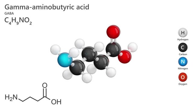 Gamma-Aminobutyric Acid (GABA). Animated 3D model of a molecule. Molecular formula: C4H9NO2. Chemical model: Ball and sticks. White background. 3D rendering. Seamless loop.
