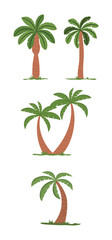 Hand drawn Palm tree item collection