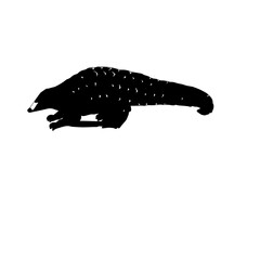 Bonrui animal design