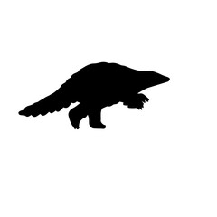 Bonrui animal design