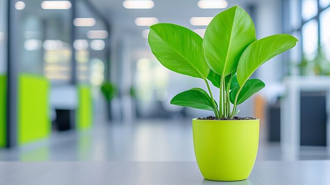 Natural light and green walls enhance productivity in an office with a sustainable design.