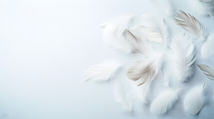 Naklejka premium Soft white feathers scattered on light background create serene atmosphere