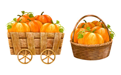 Full of fresh pumpkins with leaf vines in basket and wooden wagon wheel cart hand drawing painting illustration isolated.