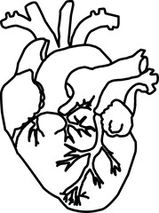 hand drawn heart icon on a plain white background