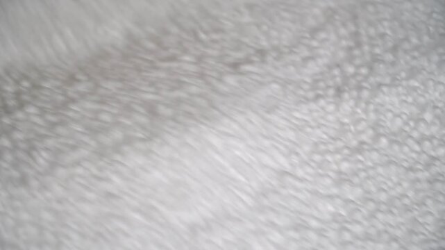 Production of expanded polystyrene. Styrofoam block making machine