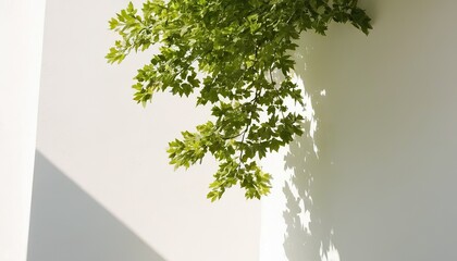 Vibrant Green Plant Vines Hanging on White Wall for Home Decor 545