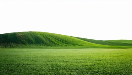 Obraz premium green grassland landscape isolated on white or transparent 