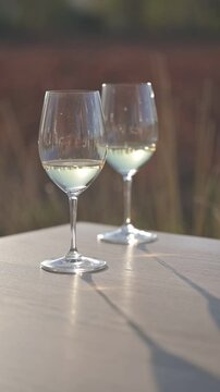 Copas y vi&ntilde;edo de tras