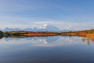 Scenic Reflection Landscape in Denali nNational Park Alaska in Autumn