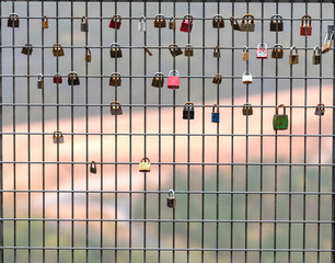 Padlock on a fence gate