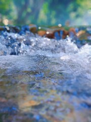 water in the forest sparkling nature