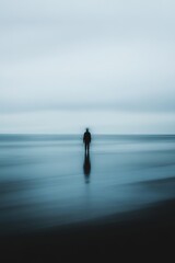 Silhouette of person standing alone on serene beach