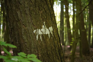 Horse riding sign painted on a tree in a forest, Dortmund, North Rhine-Westphalia, Germany