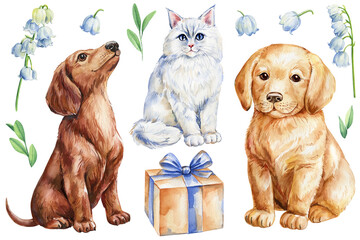 Set of cute animals, watercolor dog, cat, gift box, spring flowers. Watercolor illustrations isolated white background