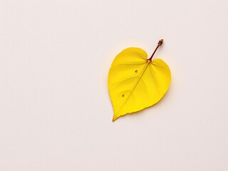 A solitary yellow leaf in a heart shape formation on a natural-colored background with subtle texture, single element, autumn