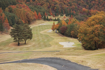 日本の秋のゴルフ場