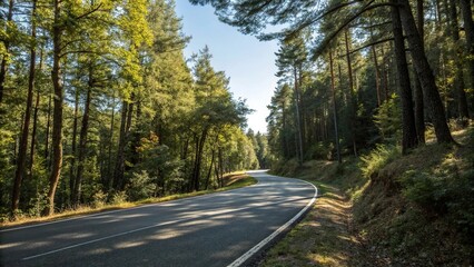 Fototapeta premium A winding asphalt road through a beautiful forest under a clear blue sky with sunlight filtering through the trees, forest trail, scenery, woodland, asphalt road, forest road