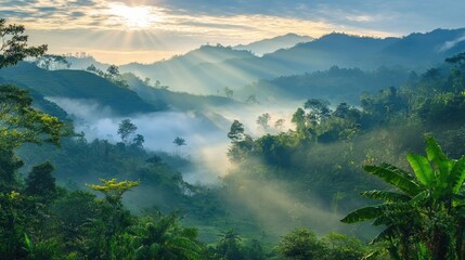 Serene morning landscape with sunlight streaming through mist over lush green hills and valleys, highlighting the tranquil beauty of nature.