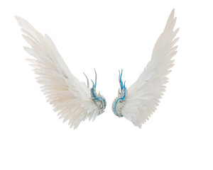 white angel wings isolated on white background. This has clipping path.