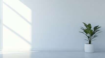 Monstera plant in a sleek white pot against an empty white wall, highlighting minimalism and Scandinavian interior design with abundant natural light.