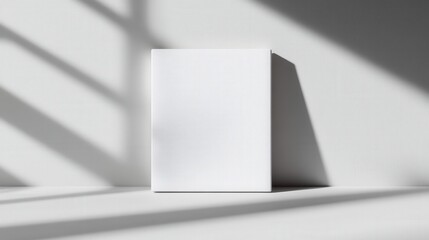 minimalist design with shadows and light on a blank canvas