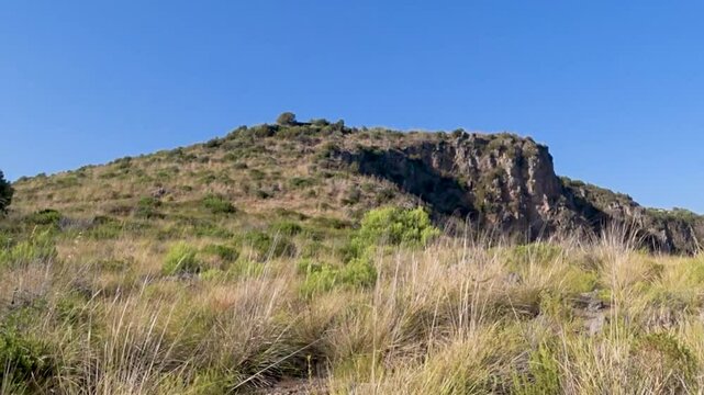 Sun-drying herbaceous vegetation and weeds on the hilltop during summer in south Italy. 