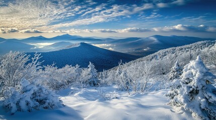 Obraz premium Majestic snow-covered mountain landscape with serene blue hues, featuring frosted trees and a breathtaking winter sky.