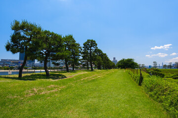 東京都港区 台場公園（第三台場）