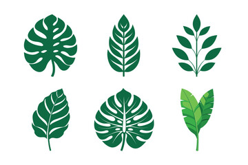 Obraz premium Set of flat leaf icons