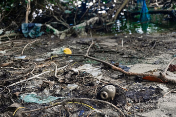 River and mangrove contaminated by garbage. Environmental pollution around the river with plastic remains. Severely contaminated by waste, plastics and various types of contaminants.