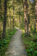 Rifle River Recreation Area (2024)