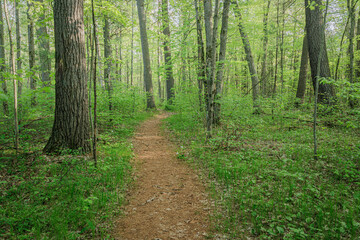 Ogemaw Hills Trailways